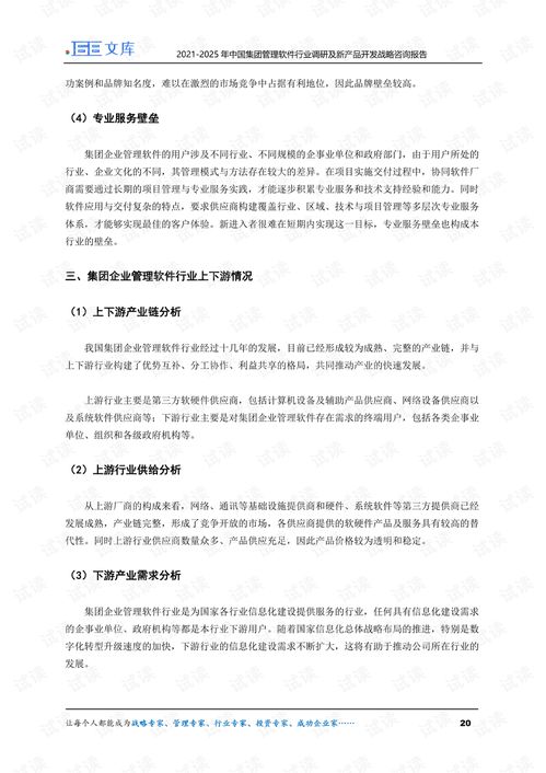 2021 2025年中国集团管理软件行业调研及新产品开发战略咨询报告.pdf